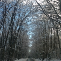 20180120_145934