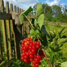 20180707_161248_HDR