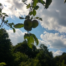 20180707_162127_HDR